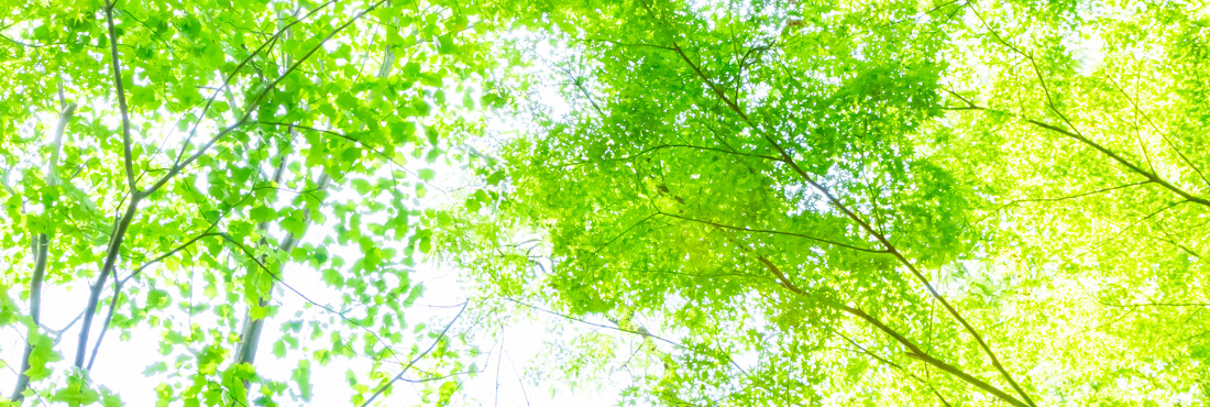 一般社団法人プラスチック循環利用協会